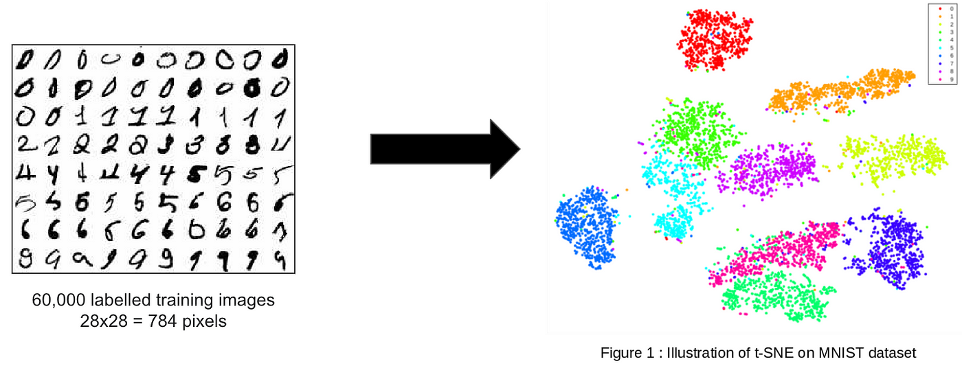 tsne_ex.png